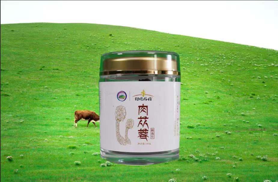 肉苁蓉精选片